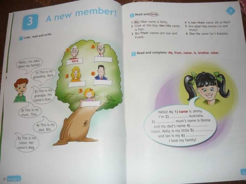 Гдз и решебник английский язык 3 класс быкова - сборник задач