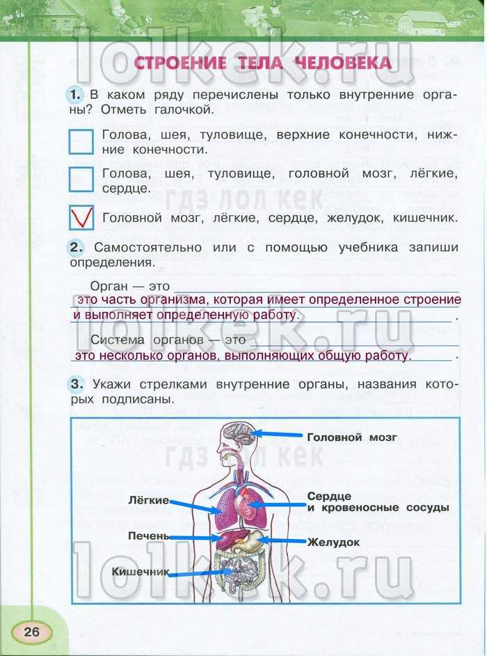 Гдз решебник рабочая тетрадь окружающий мир 3 класс перспектива плешаков