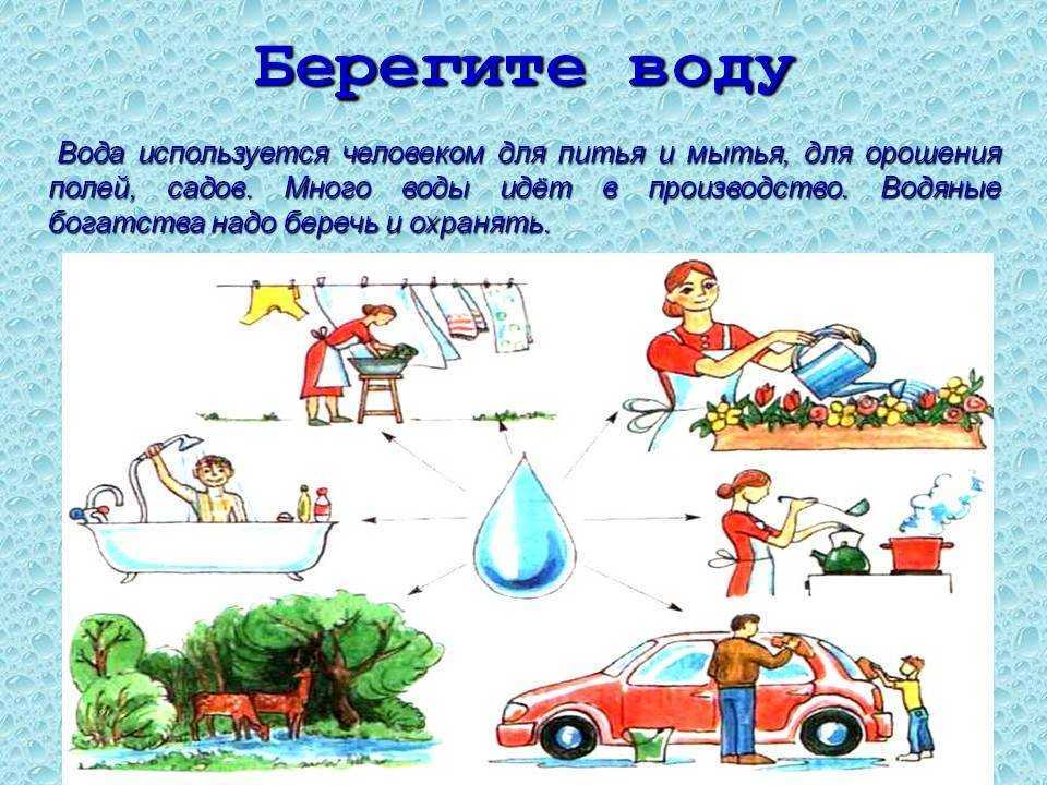 3 класс. окружающий мир. плешаков. рабочая тетрадь. часть 1. страницы 61, 62, 63, 64