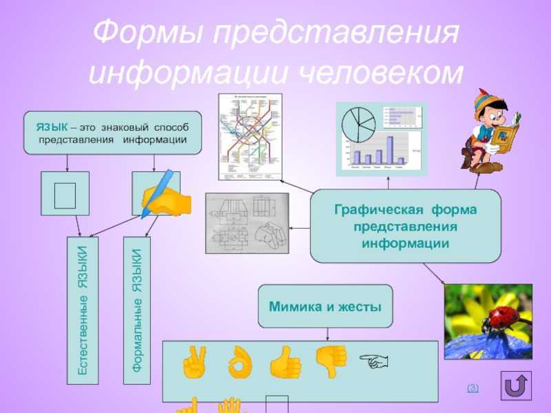 Гдз рф - готовые ответы по информатике для 3 класса рабочая тетрадь матвеева н.в., челак е.н. бином