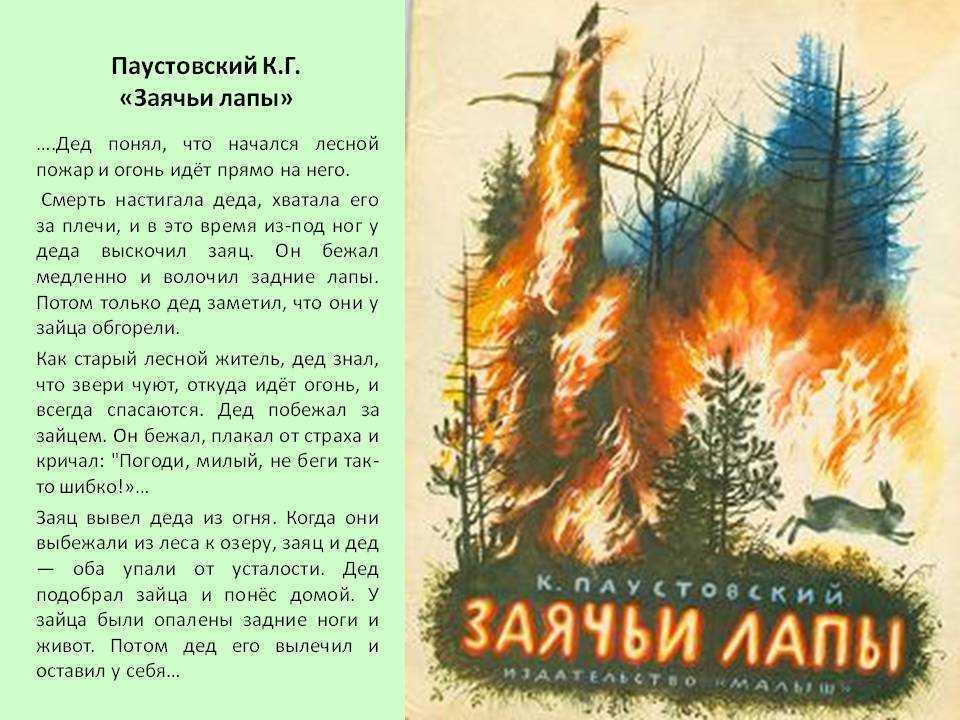 Заячьи лапы