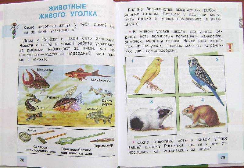 ГДЗ учебник по окружающему миру 2 класс часть 1 Плешаков страница 82 Номер 1 Вот сколько замечательных растений вырастили у себя дома мама и Надя Знаешь ли ты названия этих растений Проверь себя на Страничках для самопроверки
