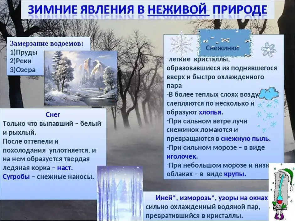 ГДЗ учебник по окружающему миру 2 класс часть 2 Плешаков вопросы стр 127 Номер 1 Что изменяется в неживой и живой природе с наступлением лета