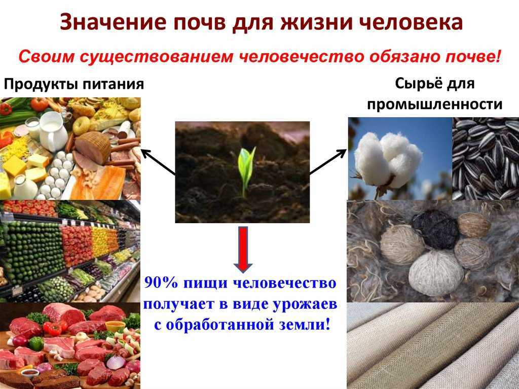 Гдз плешаков. 3 класс. учебник №1, стр. 59 – 63. берегите воду! |  развивайка