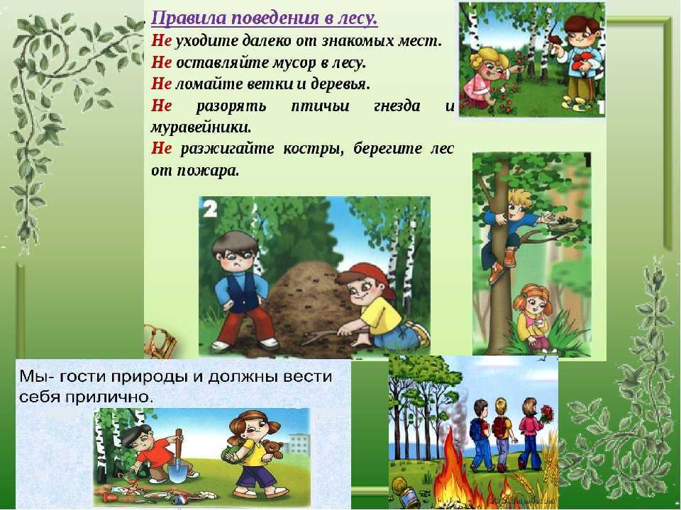 Гдз по окружающему миру 3 класс плешаков, учебник 1, 2 часть просвещение 2019-2023