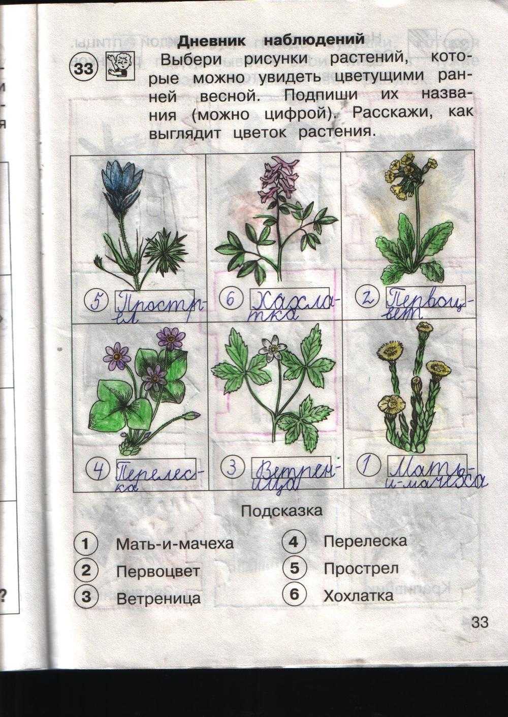 Гдз решебник по окружающему миру 2 класс    плешаков учебник  просвещение