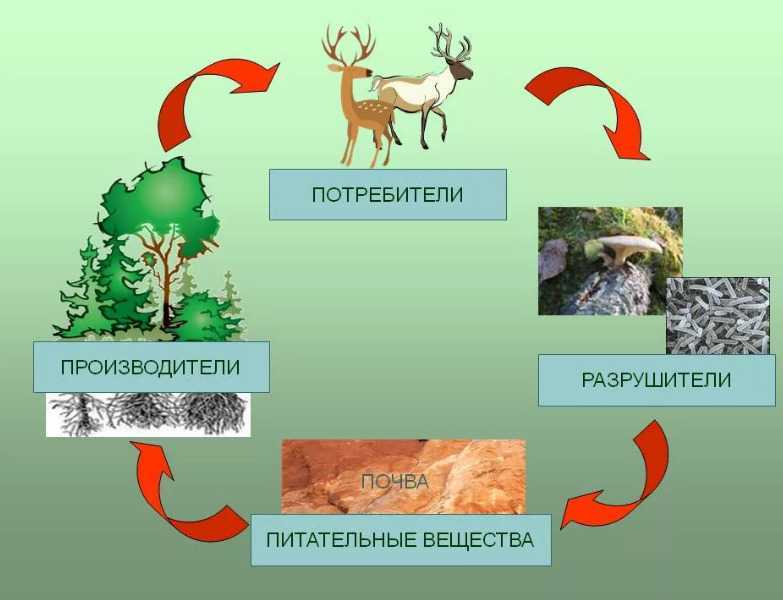Превращения и круговорот воды стр. 55 - 58. окружающий мир
