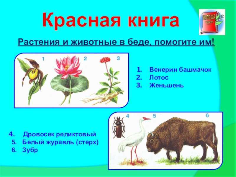 Гдз: окружающий мир 2 класс плешаков - учебник