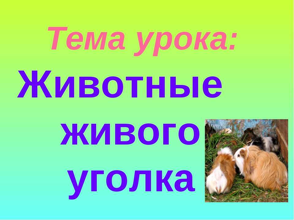 Решебник к учебному пособию: окружающий мир 2 класс плешаков - учебник