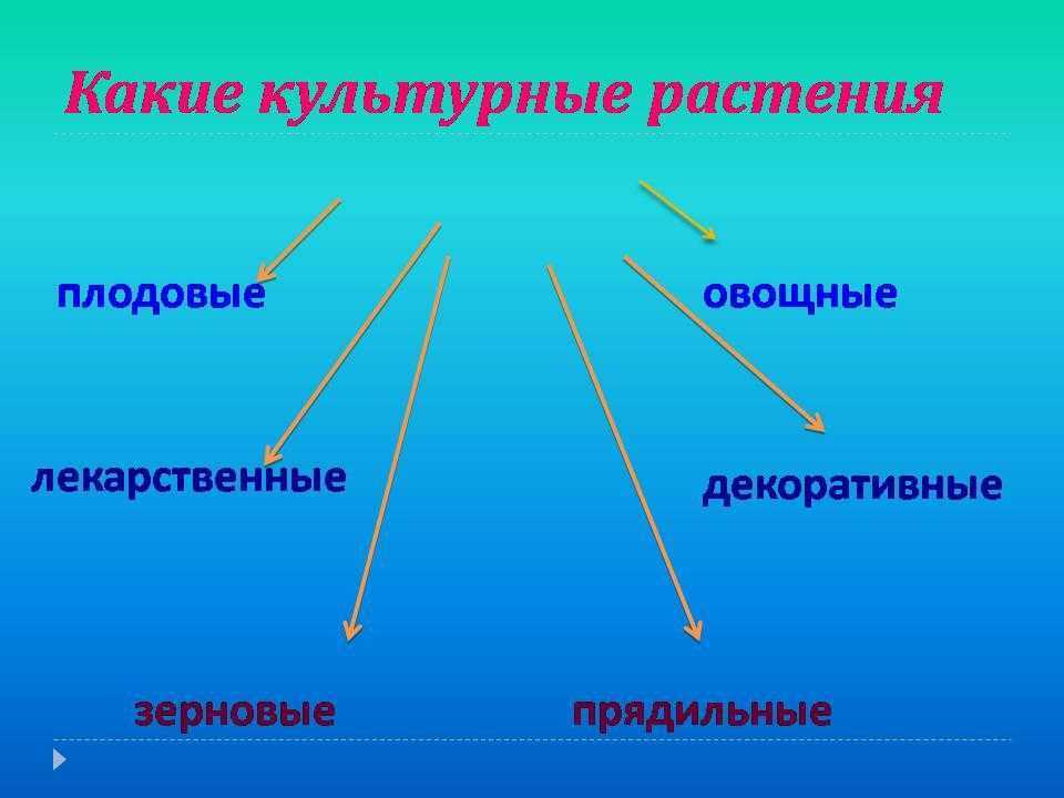 Гдз решебник по окружающему миру 2 класс    плешаков учебник  просвещение