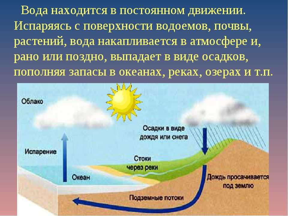 Гдз решебник по окружающему миру 3 класс плешаков, крючкова учебник просвещение