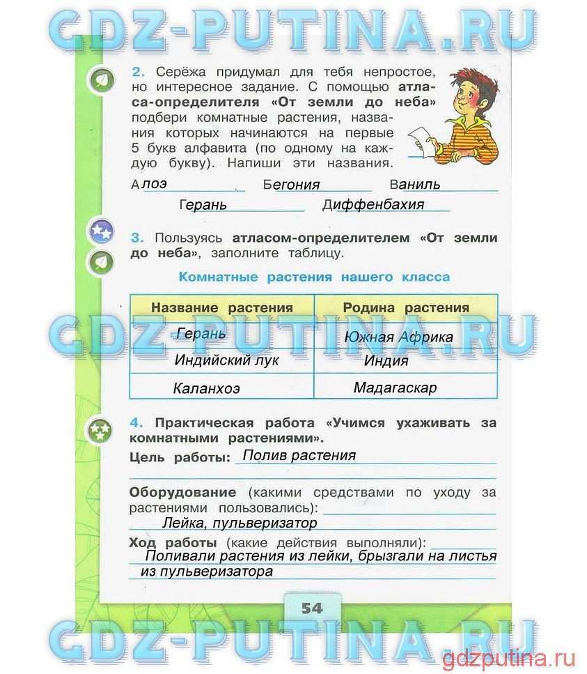 Страницы 53, 54, 55 - ответы окружающий мир 2 класс плешаков рабочая тетрадь 1 часть