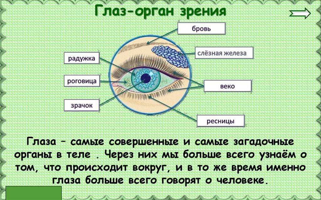 ГДЗ Русский язык 3 класс часть 1 Климанова Слово и его значение упражнение 126 Подберите антонимы к существительным прилагательным и глаголам Составьте и запишите четыре предложения с любыми из данных слов Север верх толстый смеяться Друг горький