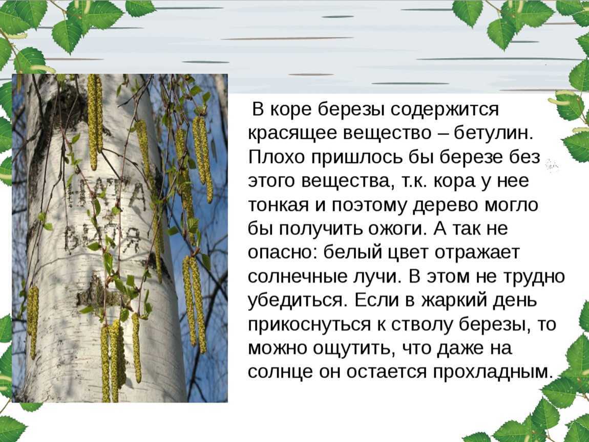 Гдз окружающий мир 3 класс плешаков, крючкова - учебник
