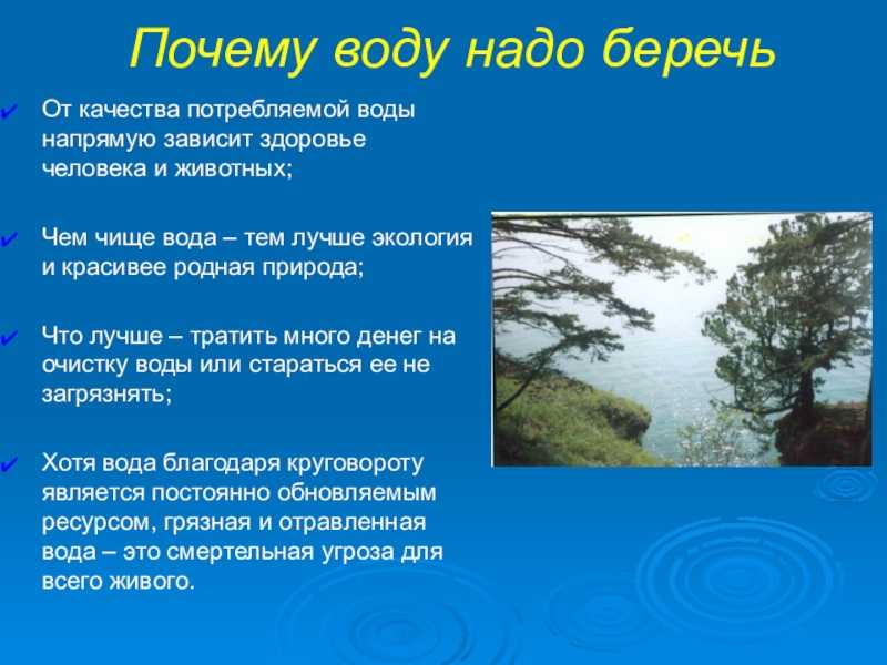 Гдз ответы к странице 67 окружающий мир учебник 3 класс часть 1, плешаков (школа россии) онлайн ответы и бесплатный решебник