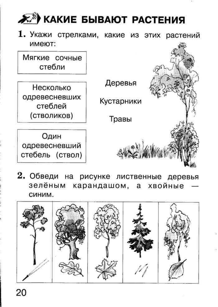 Гдз по окружающему миру 1 класс плешаков школа россии