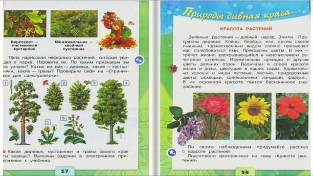 Гдз решебник по окружающему миру 2 класс плешаков рабочая тетрадь просвещение