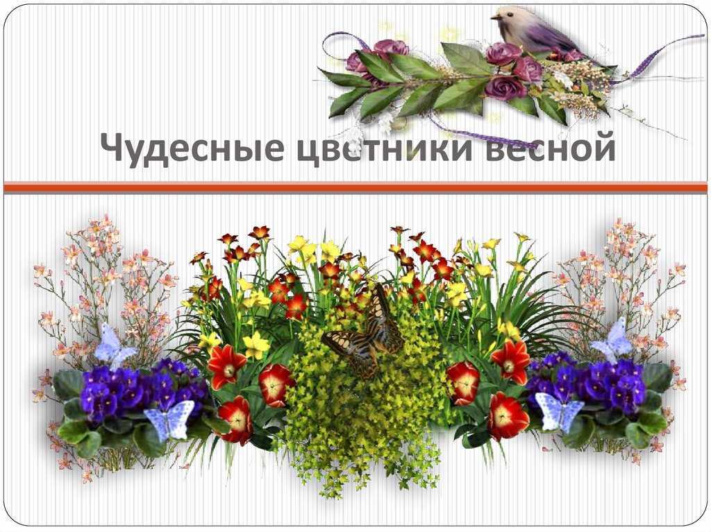 Чудесные цветники весной