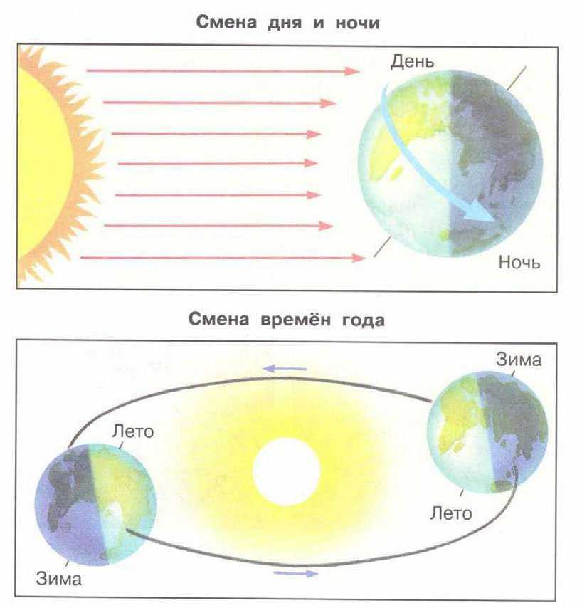 Гдз окружающий мир 2 класс плешаков - учебник