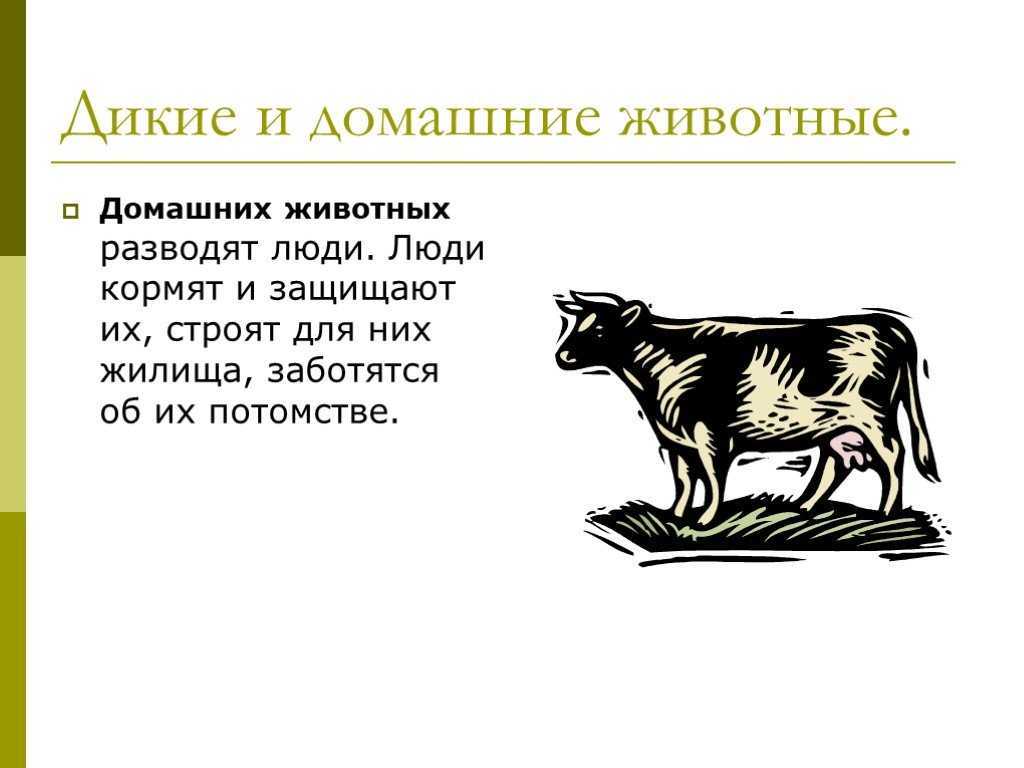 Страница 12-13 гдз по окружающему миру 1 класс плешаков, учебник 1 часть 2023