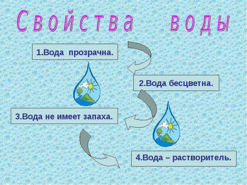 Плешаков. 3 класс. учебник №1, с. 51 — 54