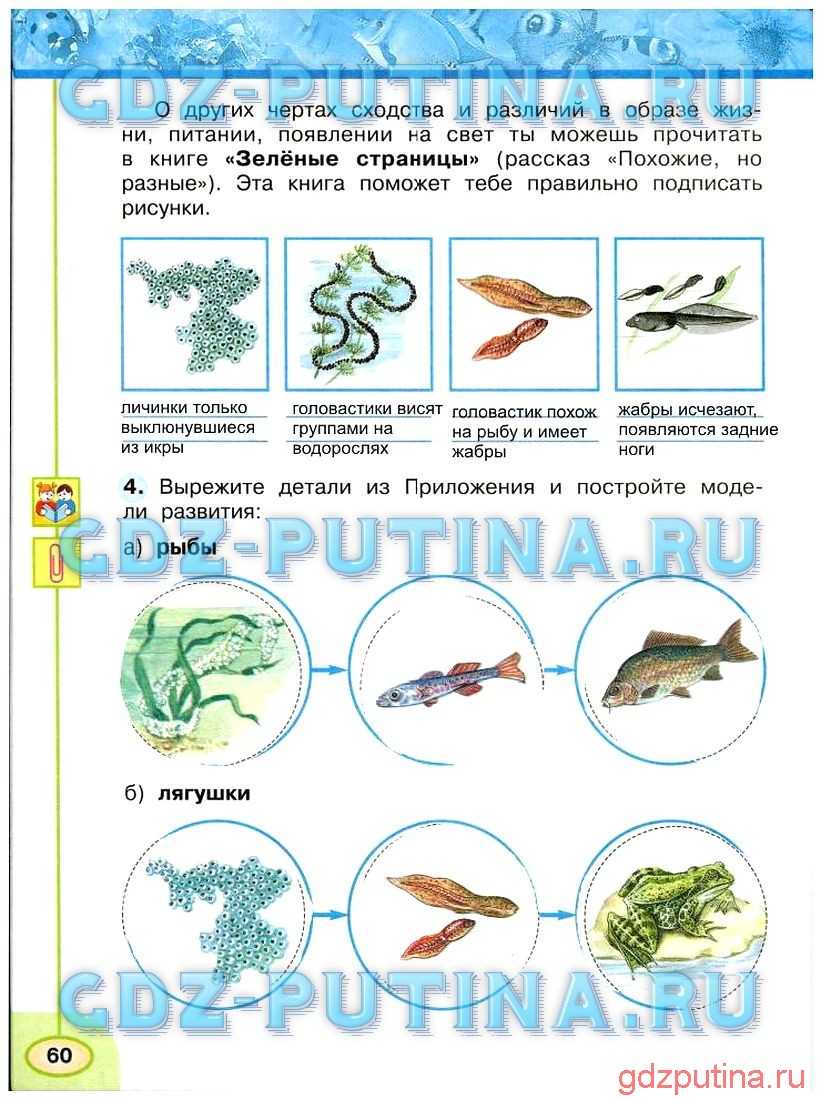 Гдз и решебник окружающий мир 3 класс плешаков, крючкова - учебник