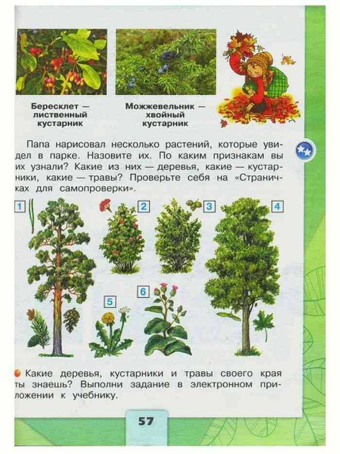 Гдз по окружающему миру 2 класс 1 часть плешаков а.а. новицкая м.