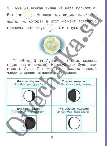 Решебник к учебному пособию: окружающий мир 2 класс плешаков, новицкая - рабочая тетрадь
