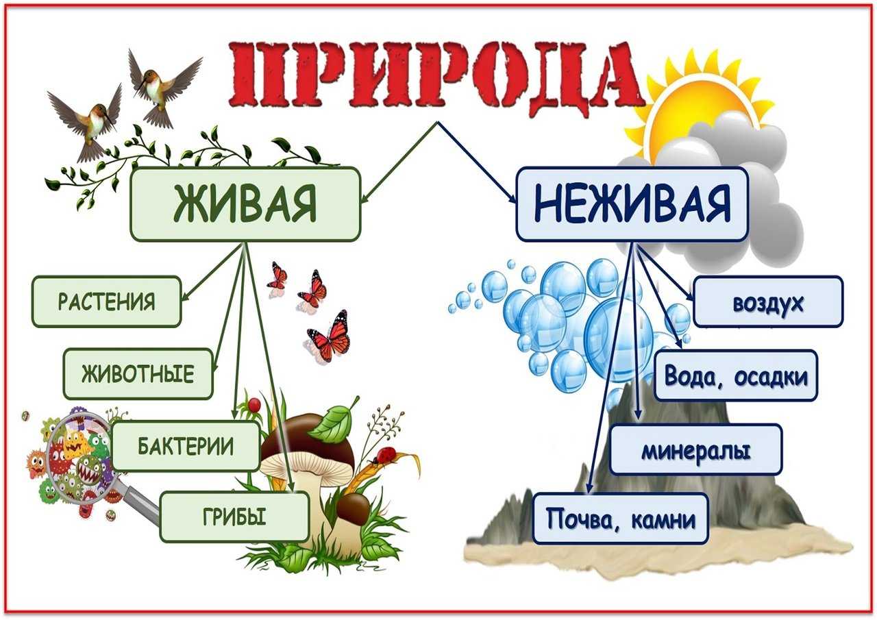 Страница 34-35 гдз по окружающему миру 2 класс плешаков, рабочая тетрадь 1 часть 2023