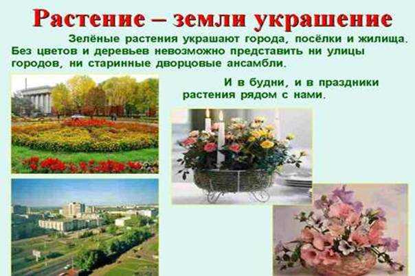 Гдз рф — готовые ответы по окружающему миру для 1 класса плешаков а.а. школа россии просвещение