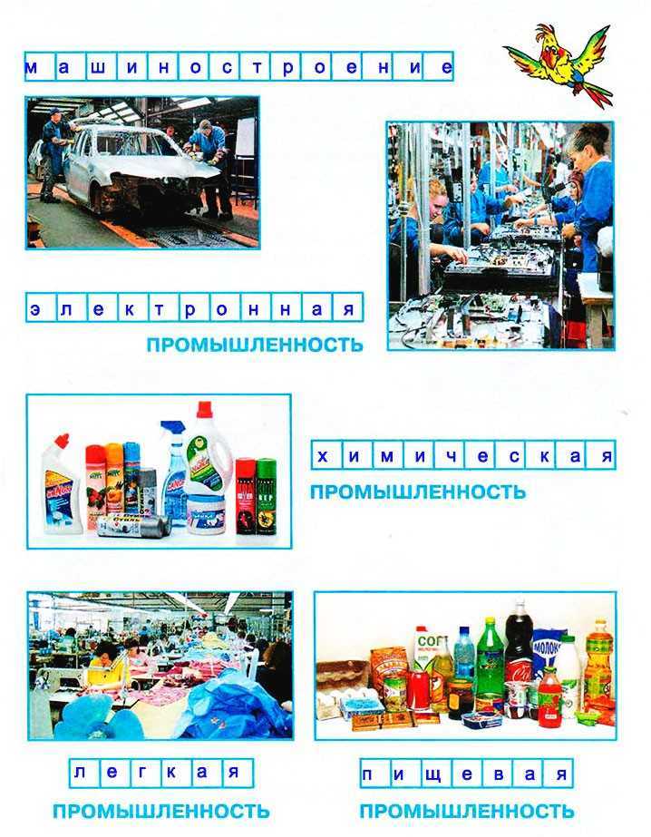 Гдз по окружающему миру 3 класс 2 часть — рабочая тетрадь — плешаков а.а. новицкая м.ю.