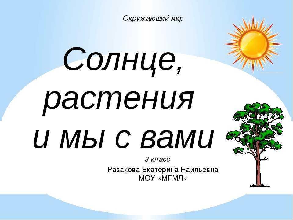 Гдз на рабочую тетрадь плешаков по окружающему миру 3 класс