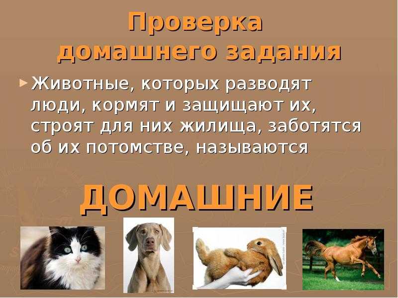 Гдз окружающий мир 2 класс рабочая тетрадь 1 часть плешаков
