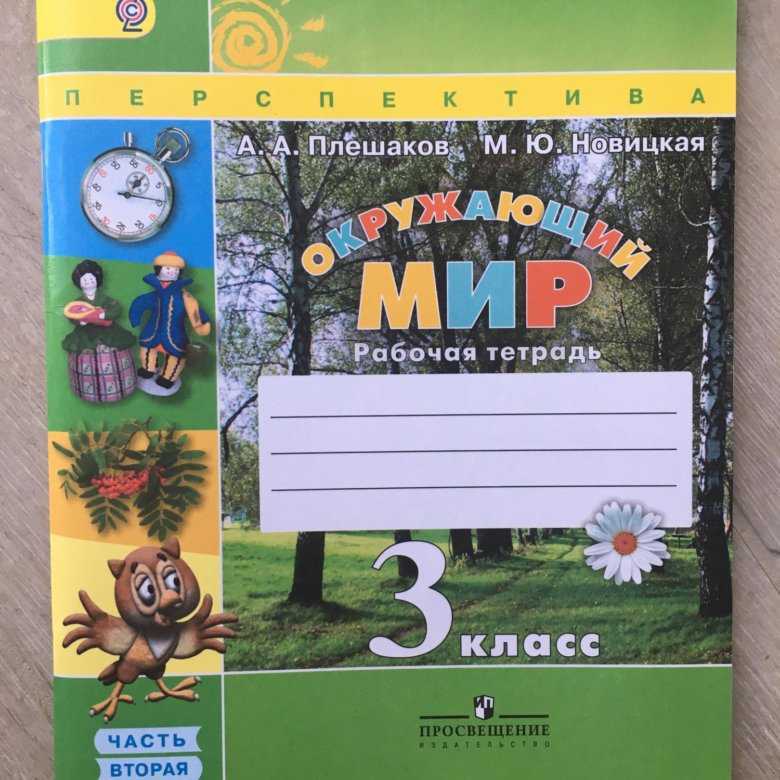 Окружающий мир 3 класс первая часть плешаков новицкая: гдз окружающий мир 3 класс рабочая тетрадь плешаков, новицкая