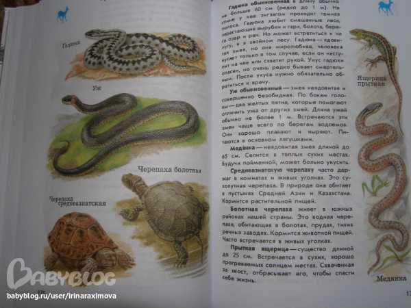Гдз решебник по окружающему миру 3 класс плешаков, крючкова учебник просвещение