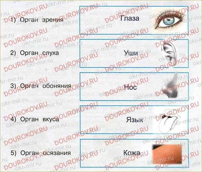 Мцко по биологии 6 класс | ответы и онлайн тест по демоверсии 2023 год
