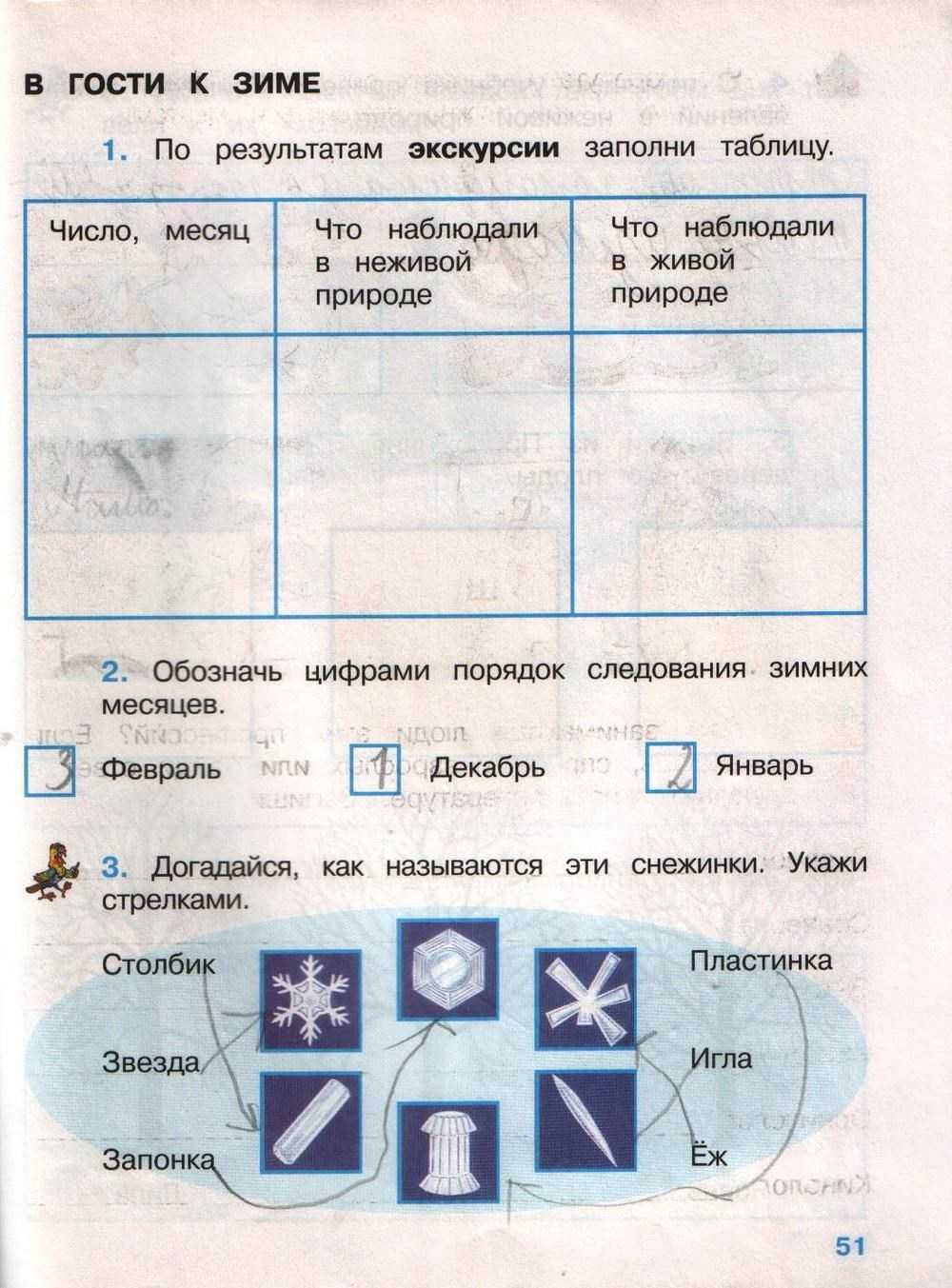 Страница 12-13 гдз по окружающему миру 1 класс плешаков, учебник 1 часть 2023