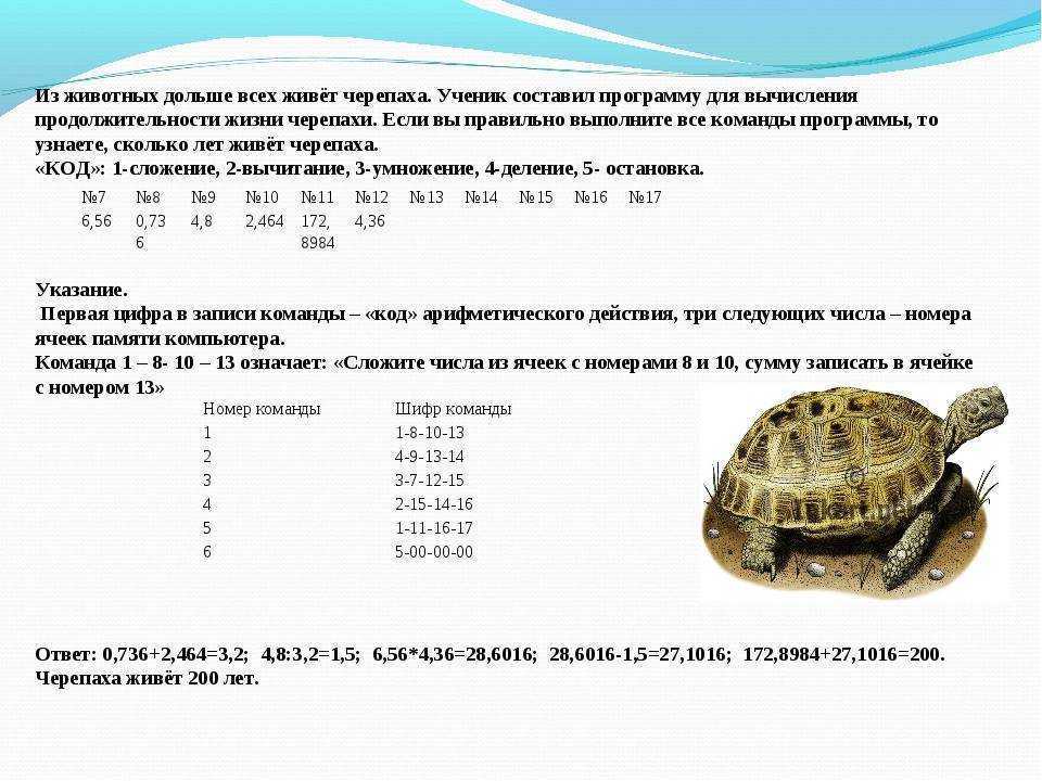 Гдз: русский язык 3 класс канакина - рабочая тетрадь