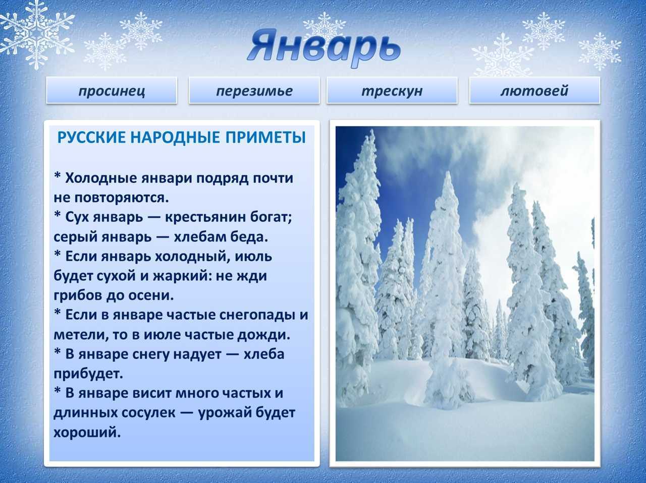 Гдз решебник по окружающему миру 2 класс  плешаков, новицкая рабочая тетрадь просвещение