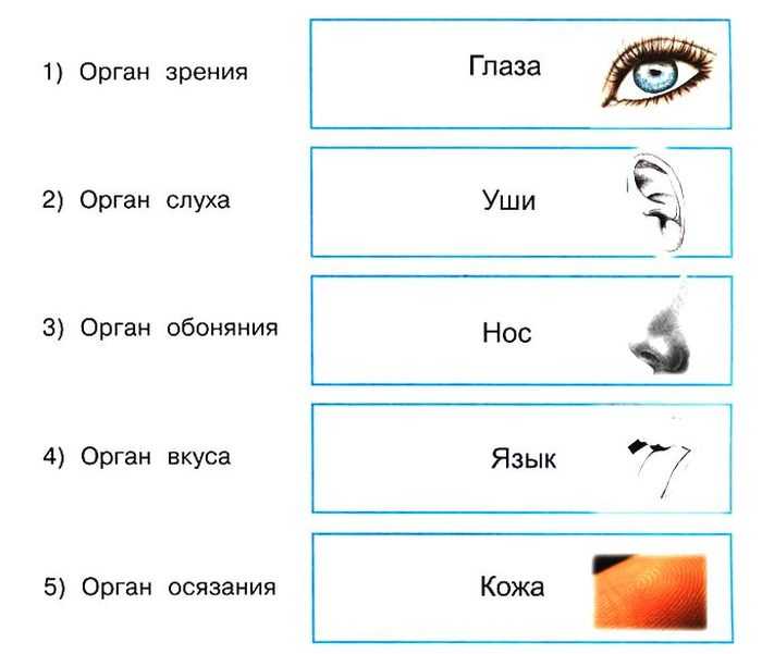 Переводчик с английского на русский