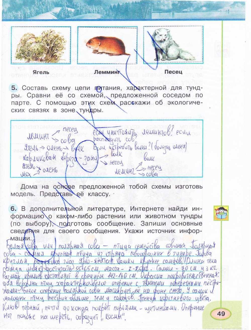 Страница 124-127 гдз по окружающему миру 2 класс учебник плешаков часть 2