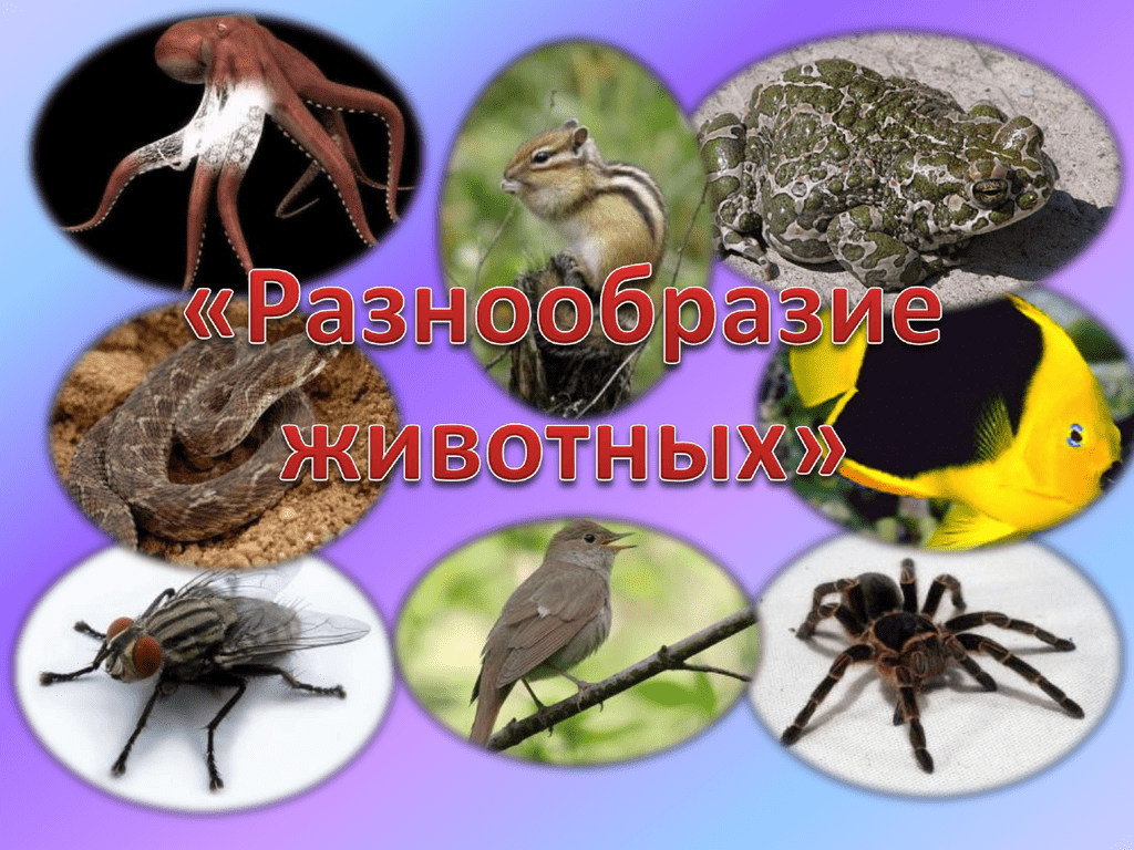 Гдз окружающий мир 3 класс плешаков, крючкова - учебник