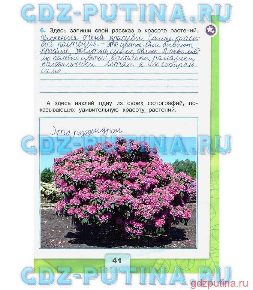 Гдз по окружающему миру 2 класс 1 часть плешаков а.а. новицкая м.