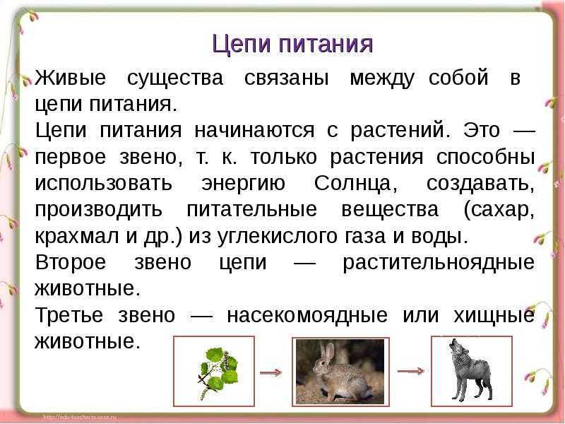 Решебник к учебному пособию: окружающий мир 3 класс плешаков - учебник