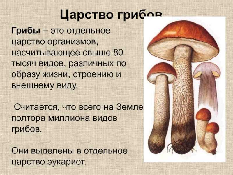 Ответы по окружающему миру, 1 часть, 3 класс, учебник, плешаков а.а. гдз ответы по окружающему миру, 1 часть, 3 класс, учебник, плешаков а.а. гдз