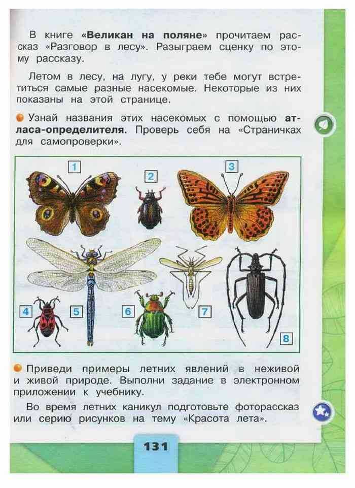 Гдз решебник по окружающему миру 2 класс    плешаков учебник  просвещение