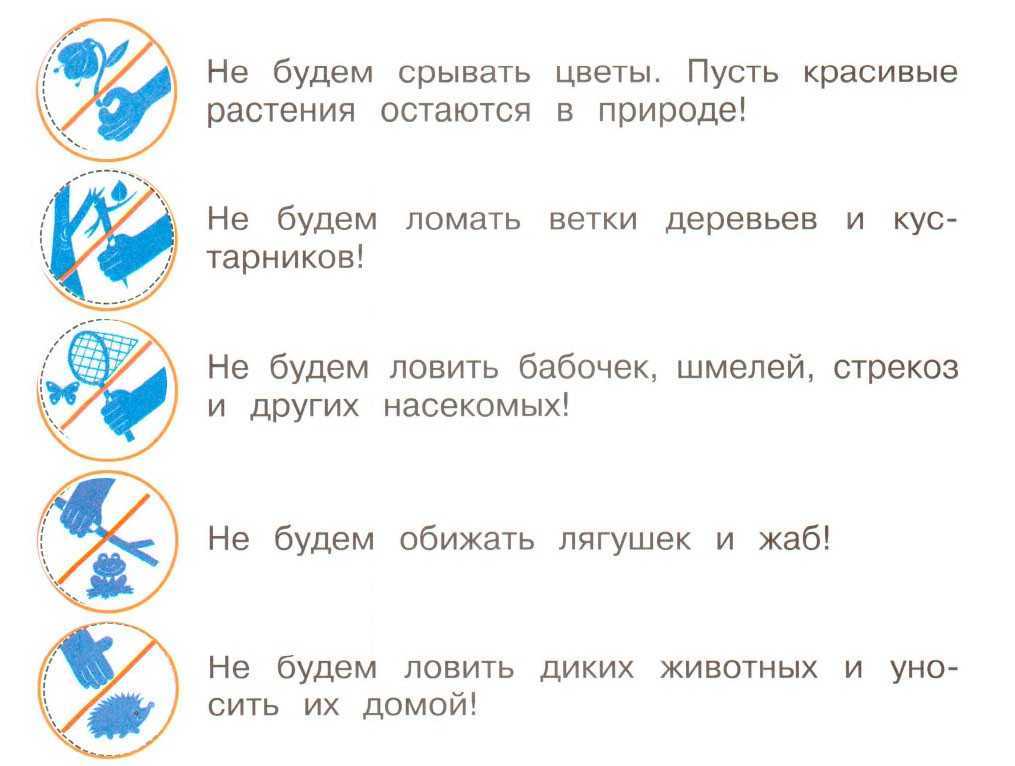 Окружающий мир 2 класс 1 часть. будь природе другом стр. 92 – 95