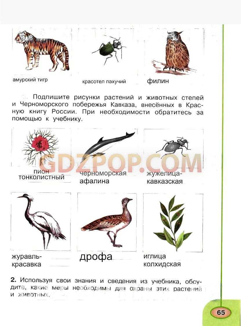 Гдз по окружающему миру 2 класс 1 часть плешаков а.а. новицкая м.