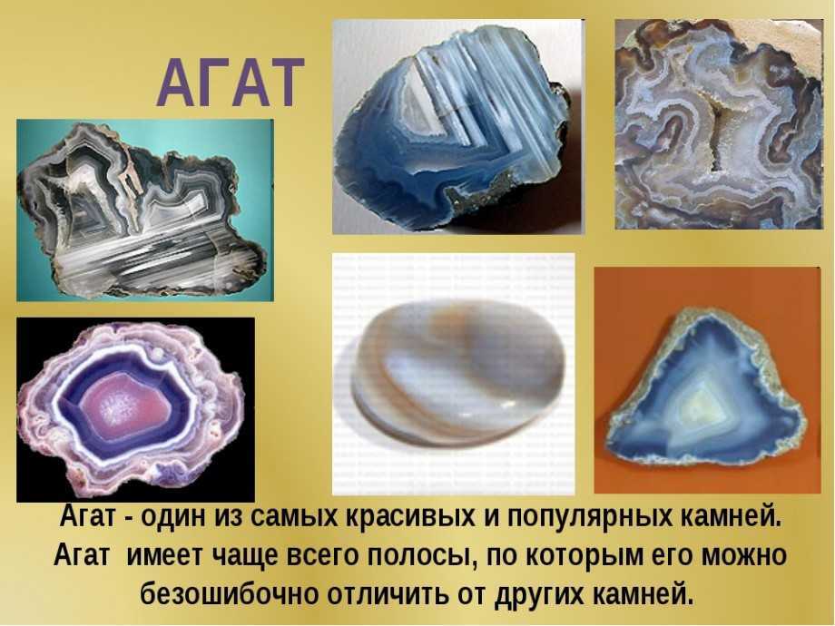 Гдз окружающий мир 2 класс плешаков - учебник