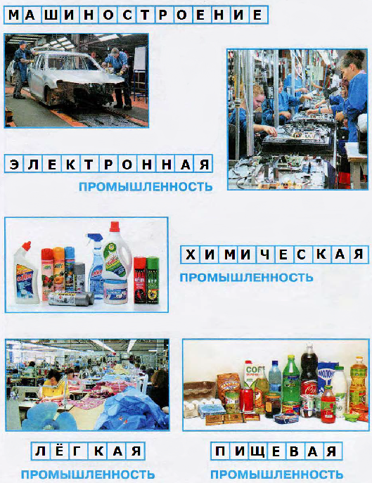 Гдз решебник по окружающему миру 3 класс рабочая тетрадь ответы плешаков – гдз по окружающему миру для 3 класса рабочая тетрадь а.а. плешаков школа россии